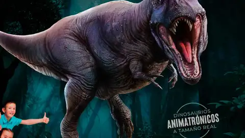 DINOSAURS TOUR DINOSAURS TOUR