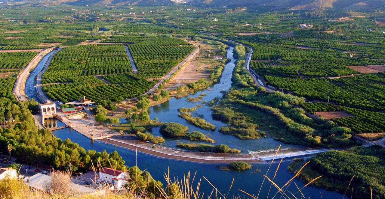 Xúquer Viu denuncia que la Acequia Real del Júcar quiera ceder agua a Almería en el estado en que se encuentra el río Xúquer Viu denuncia que la Acequia Real del Júcar quiera ceder agua a Almería en el estado en que se encuentra el río