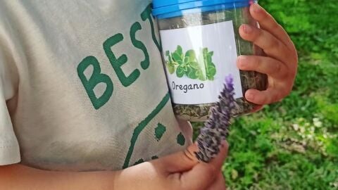 Un ni&ntilde;o sujetando una lata de lavanda