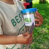 Un niño sujetando una lata de lavanda Un niño sujetando una lata de lavanda