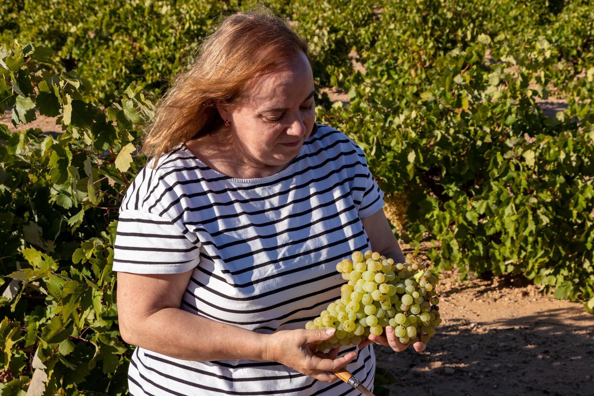 La decana de los enólogos Castellano Manchegos valora FENAVIN 2022 La decana de los enólogos Castellano Manchegos valora FENAVIN 2022