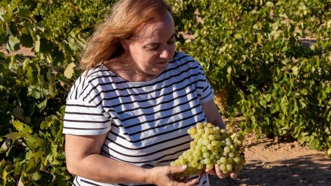 Milagros Romero Torres