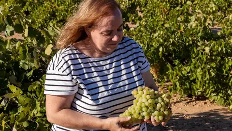 Milagros Romero Torres Milagros Romero Torres