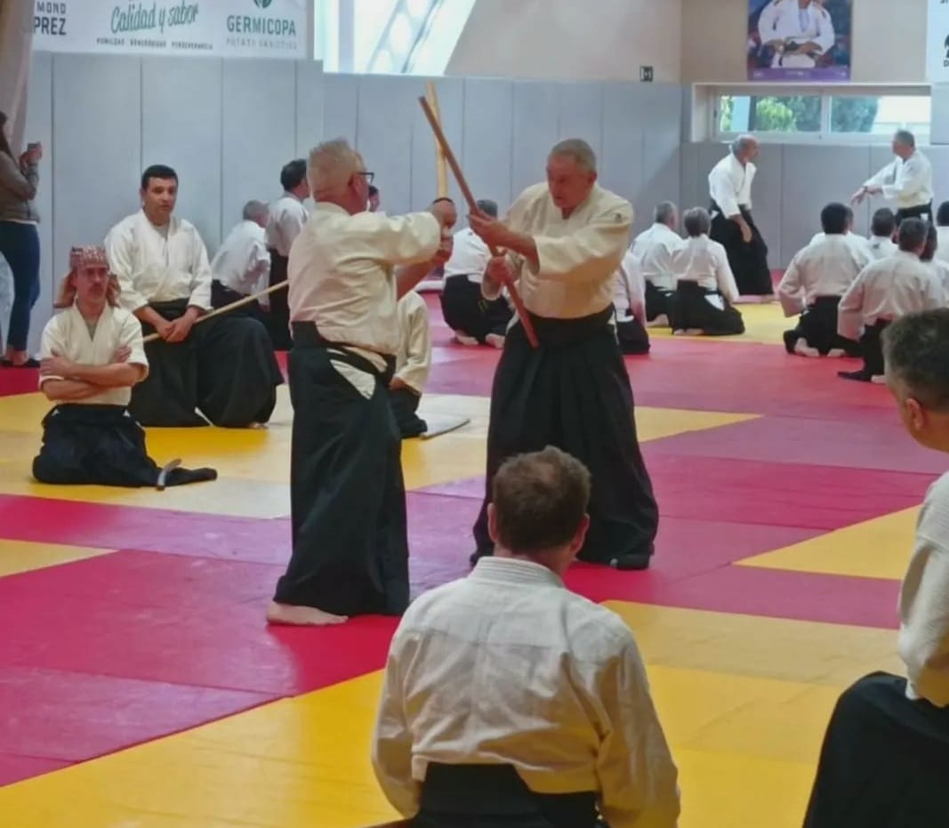 L'aikido s'obre camí a Lleida entre les dones i els infants L'aikido s'obre camí a Lleida entre les dones i els infants