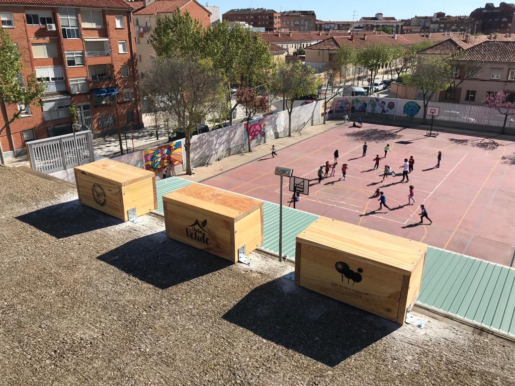 Albacete instala nidos para vencejos en colegios de la capital Albacete instala nidos para vencejos en colegios de la capital