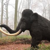 Imagen de un mamut