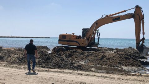 Retroexcavadora en una playa de Santa Pola.
