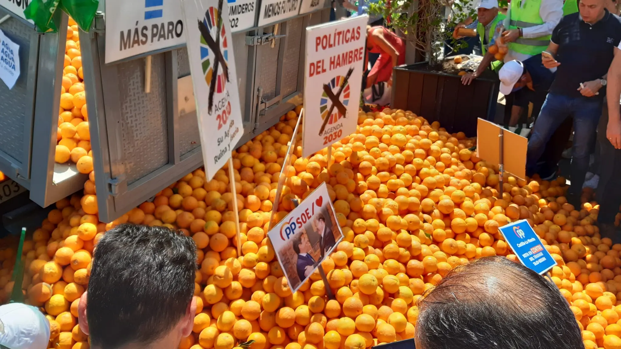 Naranjas repartidas en la plaza de la Montañeta Naranjas repartidas en la plaza de la Montañeta