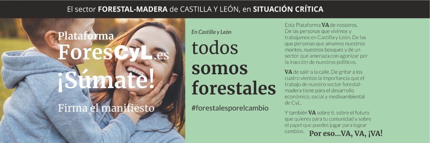 El sector forestal de la madera en la región solicita un pacto de todos los partidos y un foro de diálogo El sector forestal de la madera en la región solicita un pacto de todos los partidos y un foro de diálogo