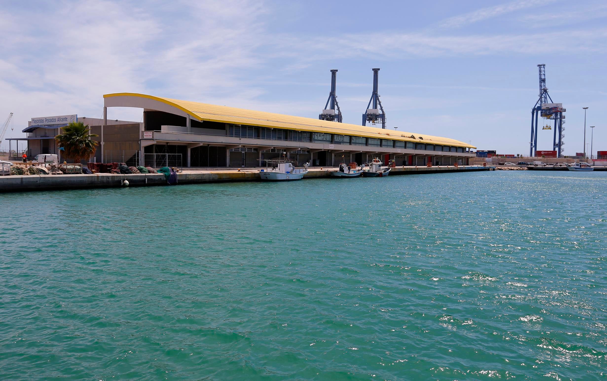 La empresa Llotja d’Alacant seguirá prestando servicio en el Puerto de Alicante La empresa Llotja d’Alacant seguirá prestando servicio en el Puerto de Alicante