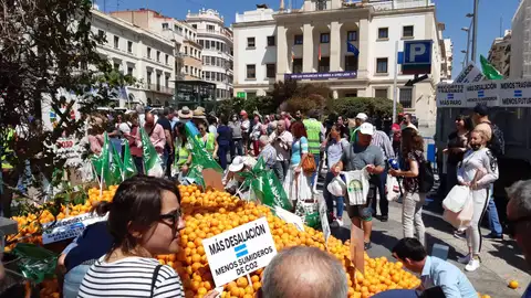 Vista de la Plaza de la Montañeta de Alicante donde se han regalado kilos de naranjas