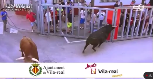 Un herido grave tras una aparatosa cogida en Vila-real Un herido grave tras una aparatosa cogida en Vila-real