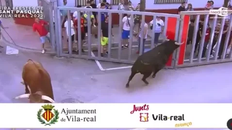 Captura del encierro