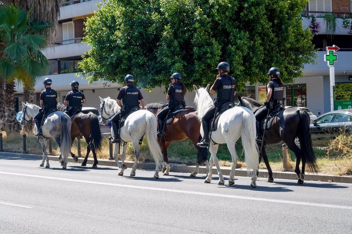 5.500 agentes velan hoy por la seguridad en Sevilla 5.500 agentes velan hoy por la seguridad en Sevilla