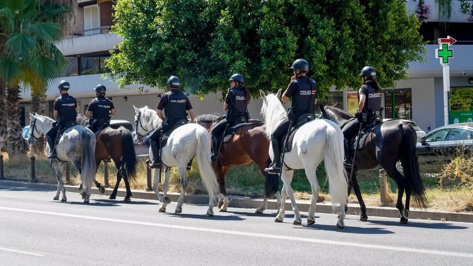 Agentes de la Policía Nacional a caballo 