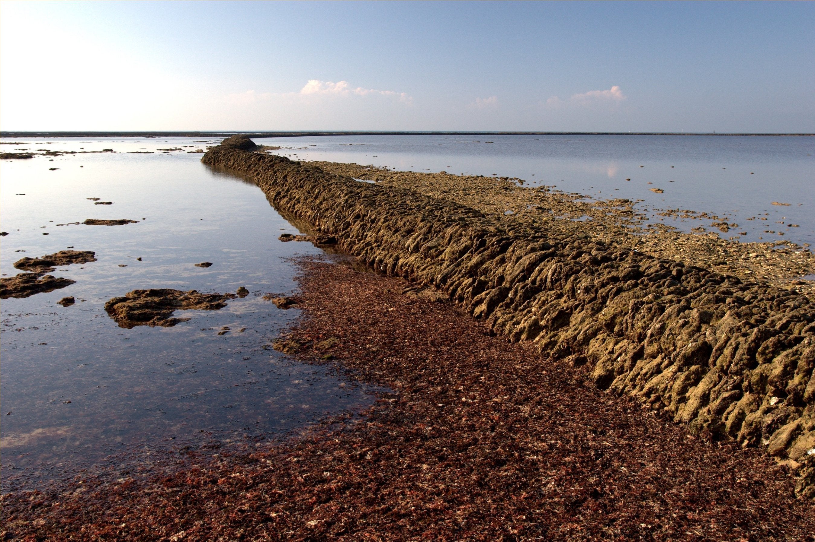 Los 'Corrales': el orgullo de Rota y Chipiona que quiere ser Patrimonio Mundial de la UNESCO Los 'Corrales': el orgullo de Rota y Chipiona que quiere ser Patrimonio Mundial de la UNESCO