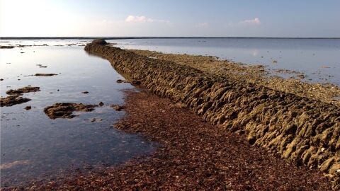Corrales de Rota en una foto de archivo