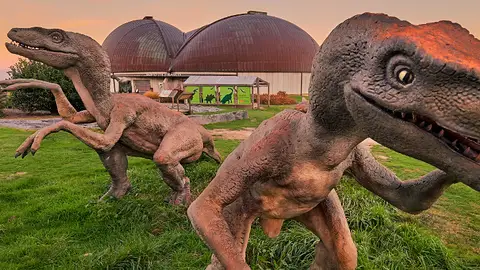 Museo del Jurásico Museo del Jurásico