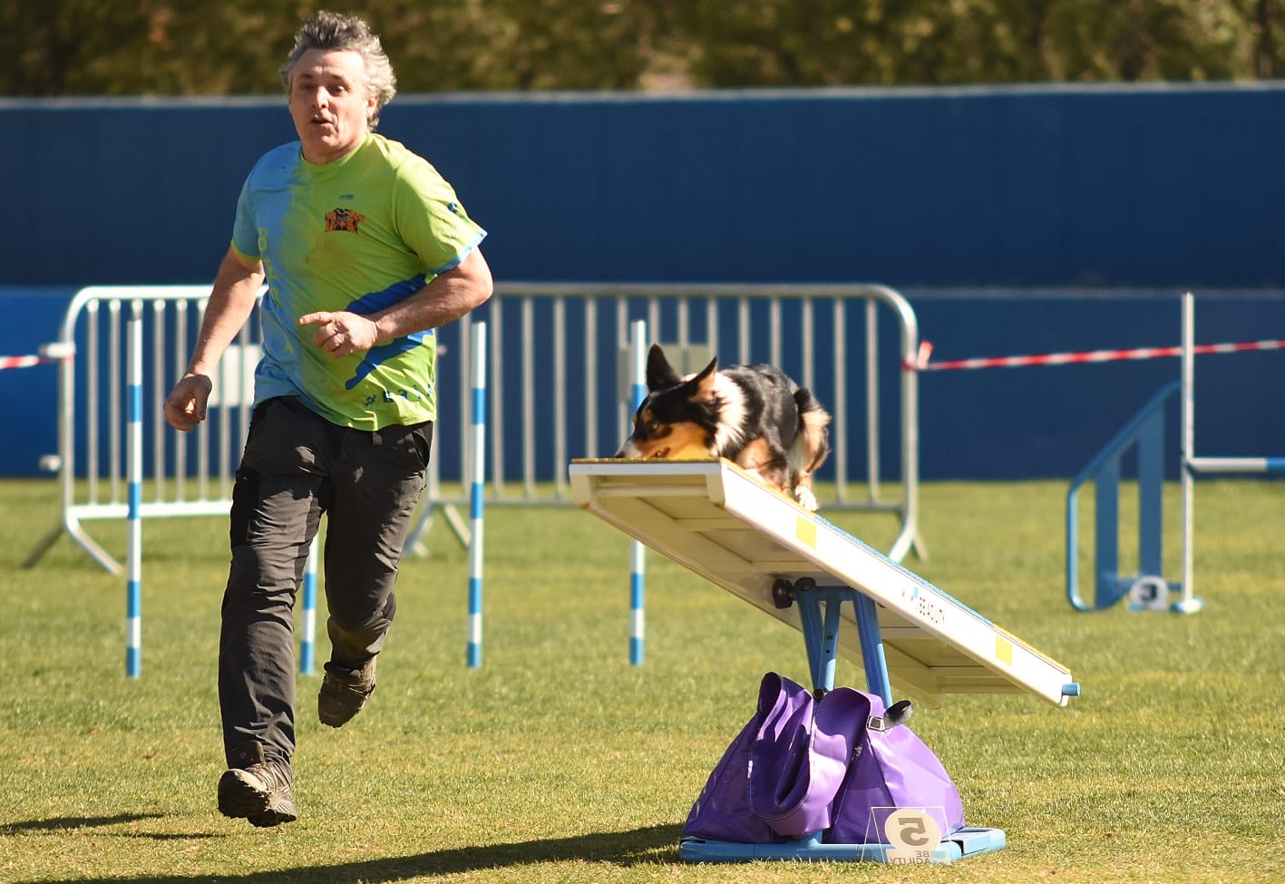 Juli Beltrán: 'La raça del gos té moltíssima importància en l'Agility per ser campions' Juli Beltrán: 'La raça del gos té moltíssima importància en l'Agility per ser campions'