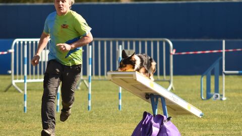 Agility