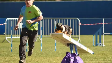 Agility Agility