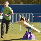 Agility