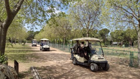El Real Jard&iacute;n Bot&aacute;nico Juan Carlos I de la Universidad de Alcal&aacute; cuenta con veh&iacute;culos el&eacute;ctricos para hacer m&aacute;s c&oacute;modas las visitas de los mayores y personas con movilidad reducida