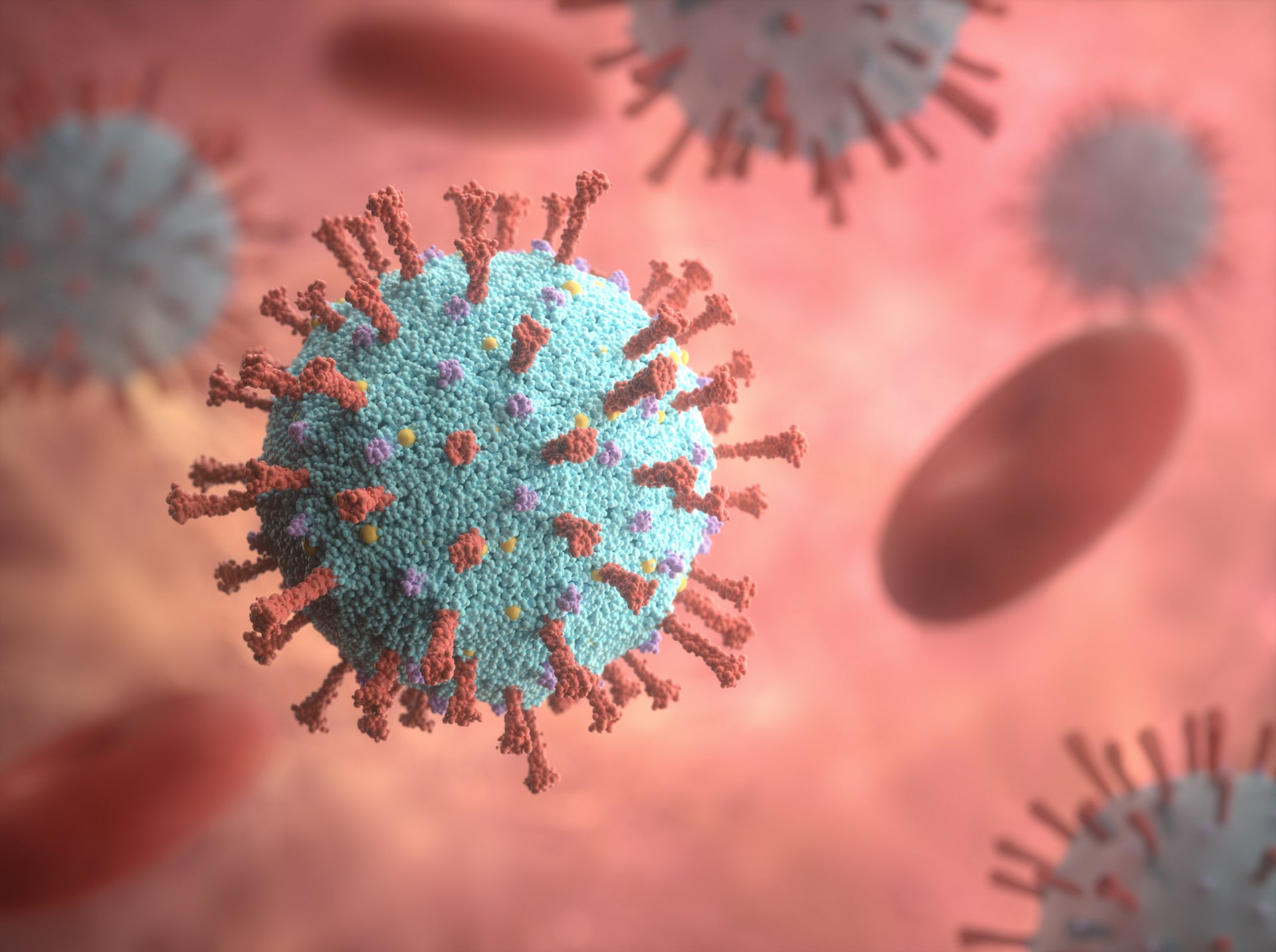 Viruela del mono: cómo evitar contagiarse del monkeypox Viruela del mono: cómo evitar contagiarse del monkeypox