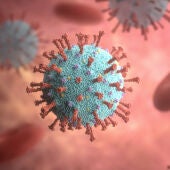 Imagen de la estructura del virus.