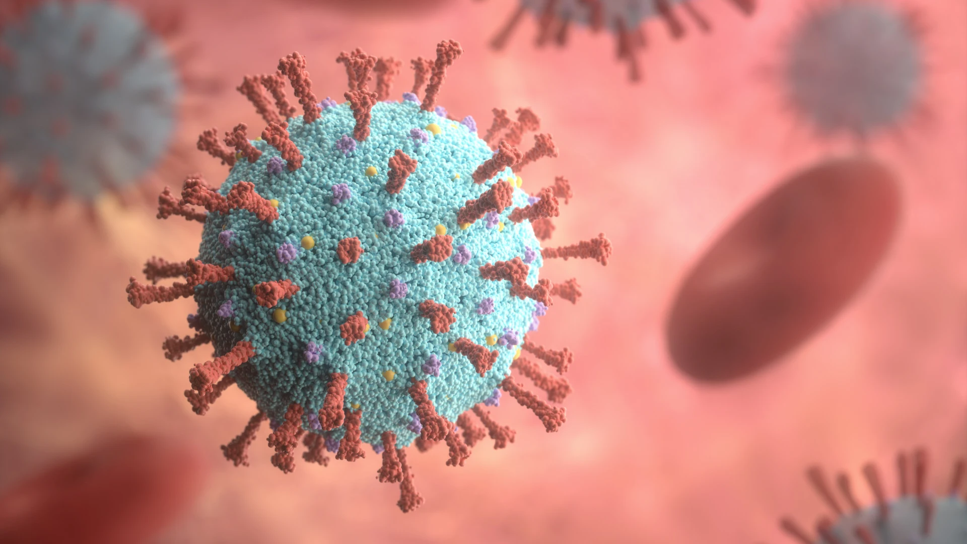 Imagen de la estructura del virus. Viruela del mono: cómo evitar contagiarse del monkeypox
