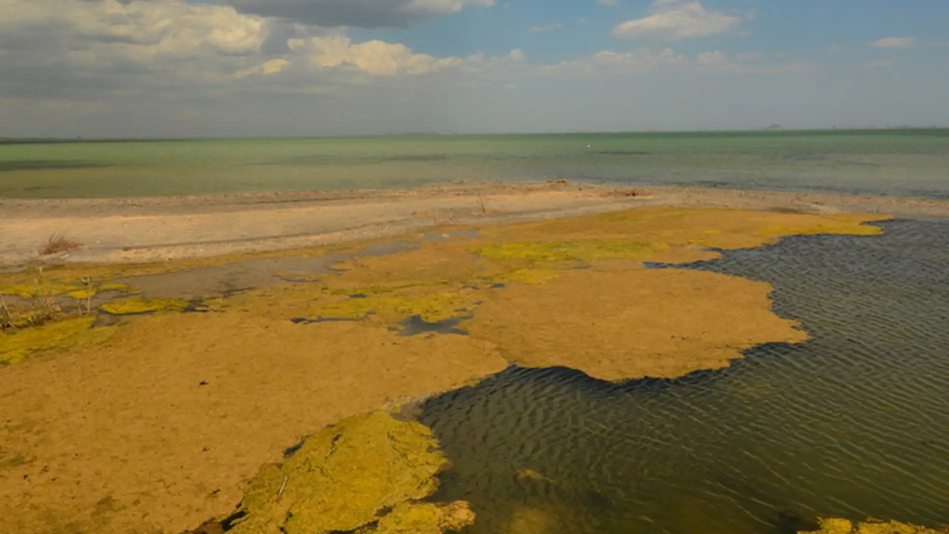 El Plan de Cuenca del Segura de 2015 ya señalaba los retornos de riego como origen de la contaminación del acuífero y descartó eliminar 12.000 ha por su elevado coste