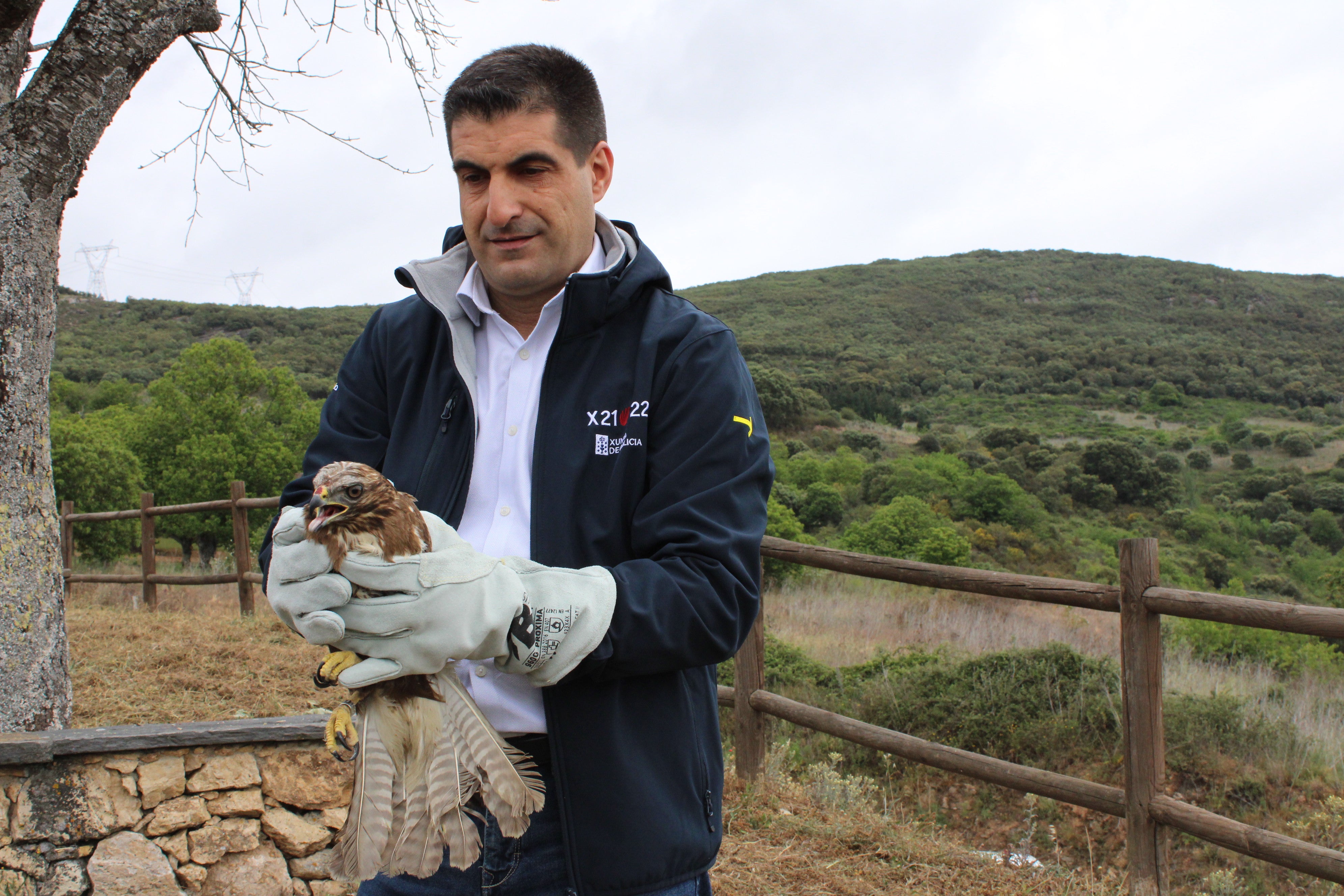 Gabriel Alén participa na solta dun miñato na Serra da Enciña da Lastra Gabriel Alén participa na solta dun miñato na Serra da Enciña da Lastra