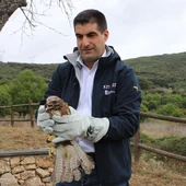 Gabriel Alén participa na solta dun miñato na Serra da Enciña da Lastra Gabriel Alén participa na solta dun miñato na Serra da Enciña da Lastra