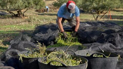 Agricultores de La Tortaita