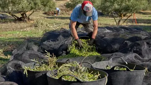Agricultores de La Tortaita Agricultores de La Tortaita
