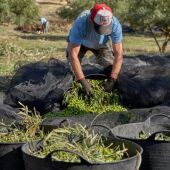 Agricultores de La Tortaita
