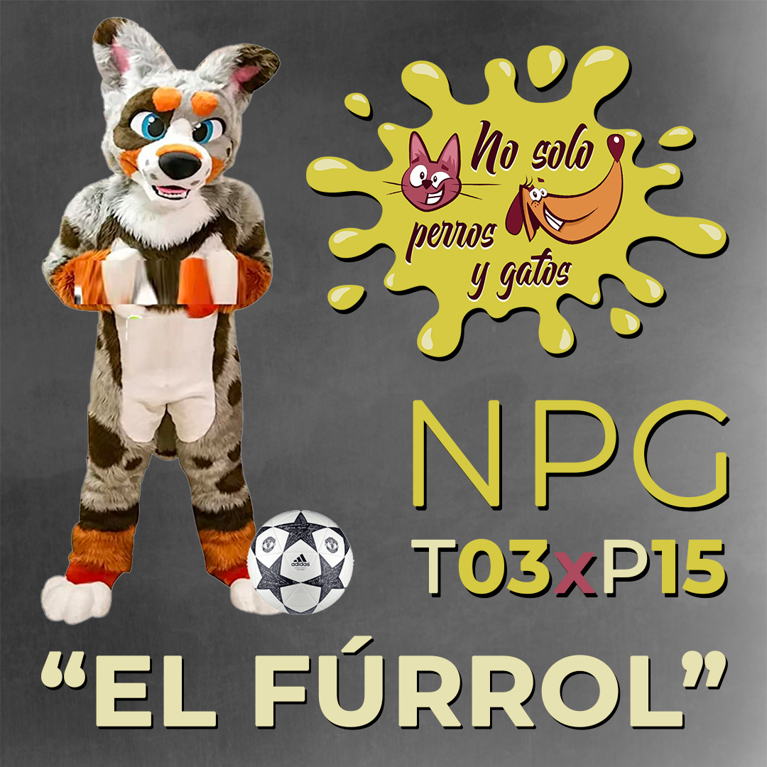 No Solo Perros y Gatos T03xE15: El Fúrrol No Solo Perros y Gatos T03xE15: El Fúrrol