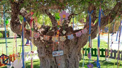 &Aacute;rbol de los chupetes en priego de C&oacute;rdoba