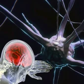 Los enfermos de Esclerosis Múltiple piden que se les reconozca el 33% de discapacidad cuando se diagnostica la enfermedad. Los enfermos de Esclerosis Múltiple piden que se les reconozca el 33% de discapacidad cuando se diagnostica la enfermedad.