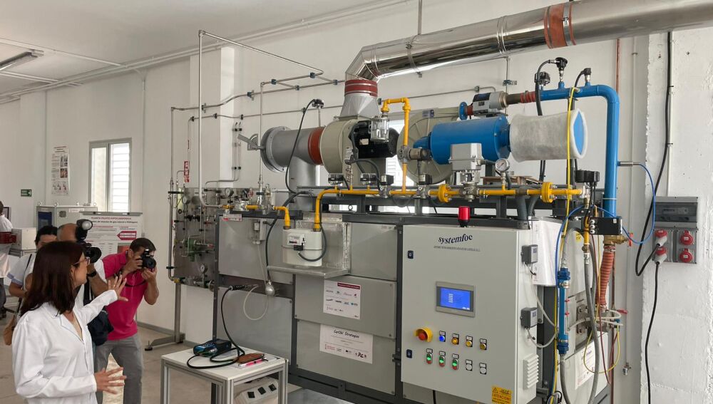 planta hipocarbónica