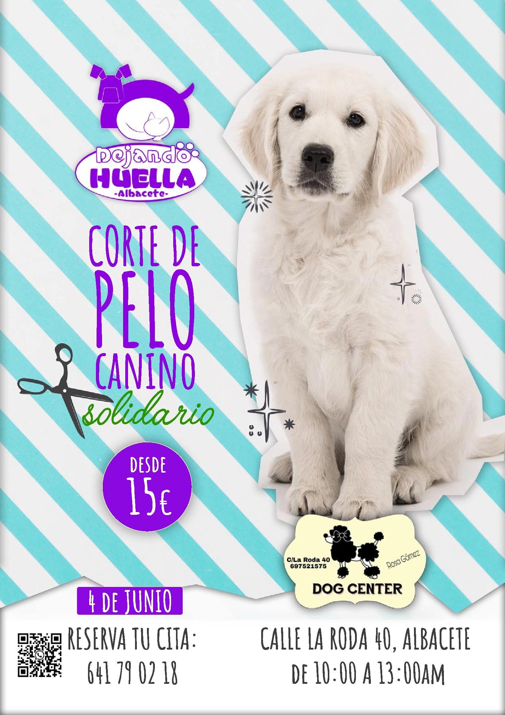 Peluquería canina solidaria para recaudar fondos Peluquería canina solidaria para recaudar fondos