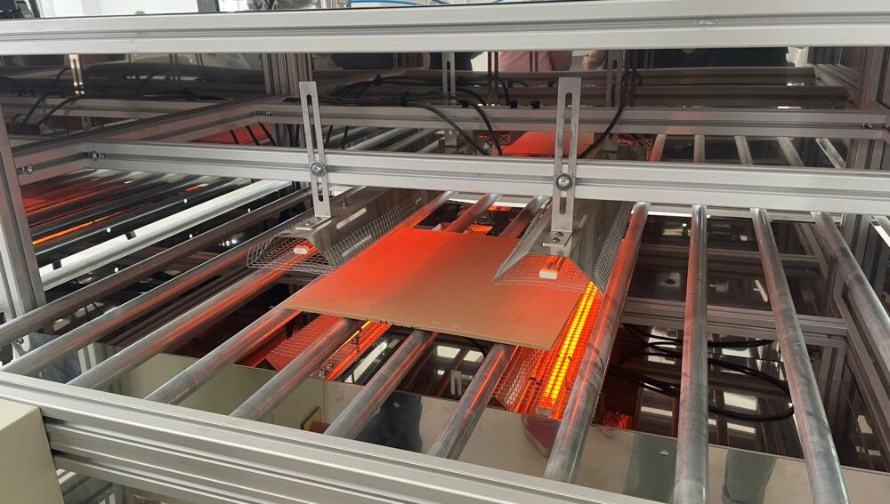 planta hipocarbónica