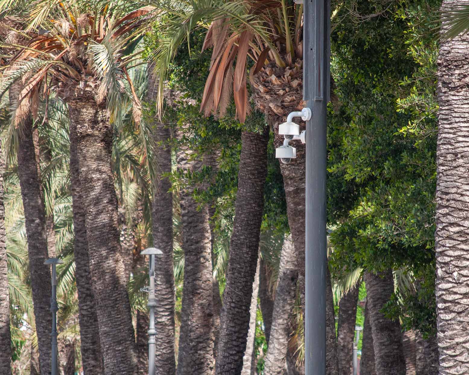 Benidorm instalará 20 cámaras de control de aforo en sus playas Benidorm instalará 20 cámaras de control de aforo en sus playas