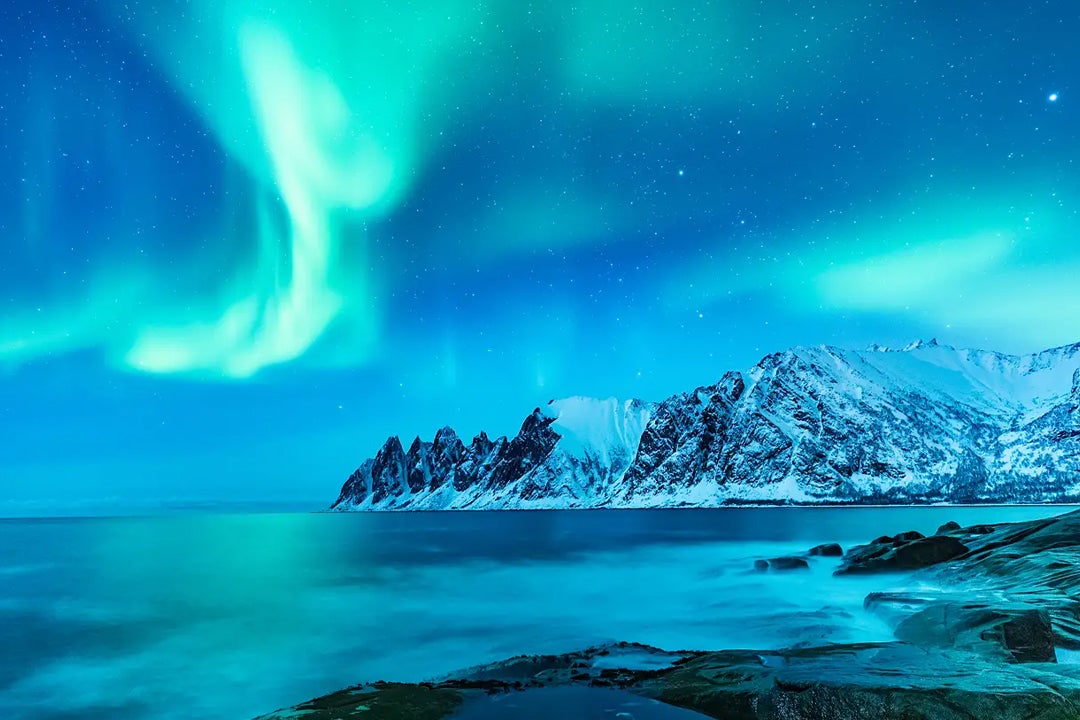 El Oceanogràfic y Oceanosophia plantean una travesía por el Círculo Polar Ártico El Oceanogràfic y Oceanosophia plantean una travesía por el Círculo Polar Ártico