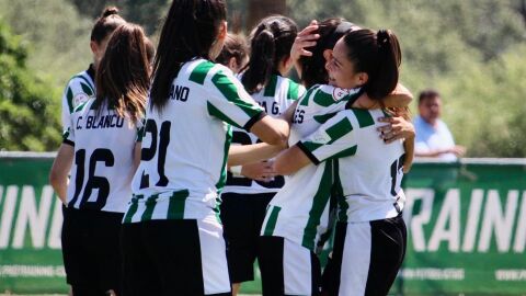 ccf fem