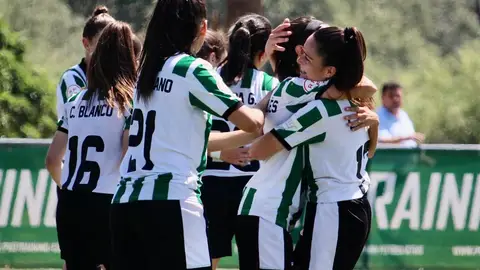 ccf fem ccf fem