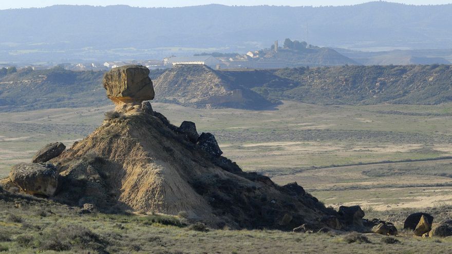 SEO BirdLife pide que Los Monegros sean Parque Nacional SEO BirdLife pide que Los Monegros sean Parque Nacional