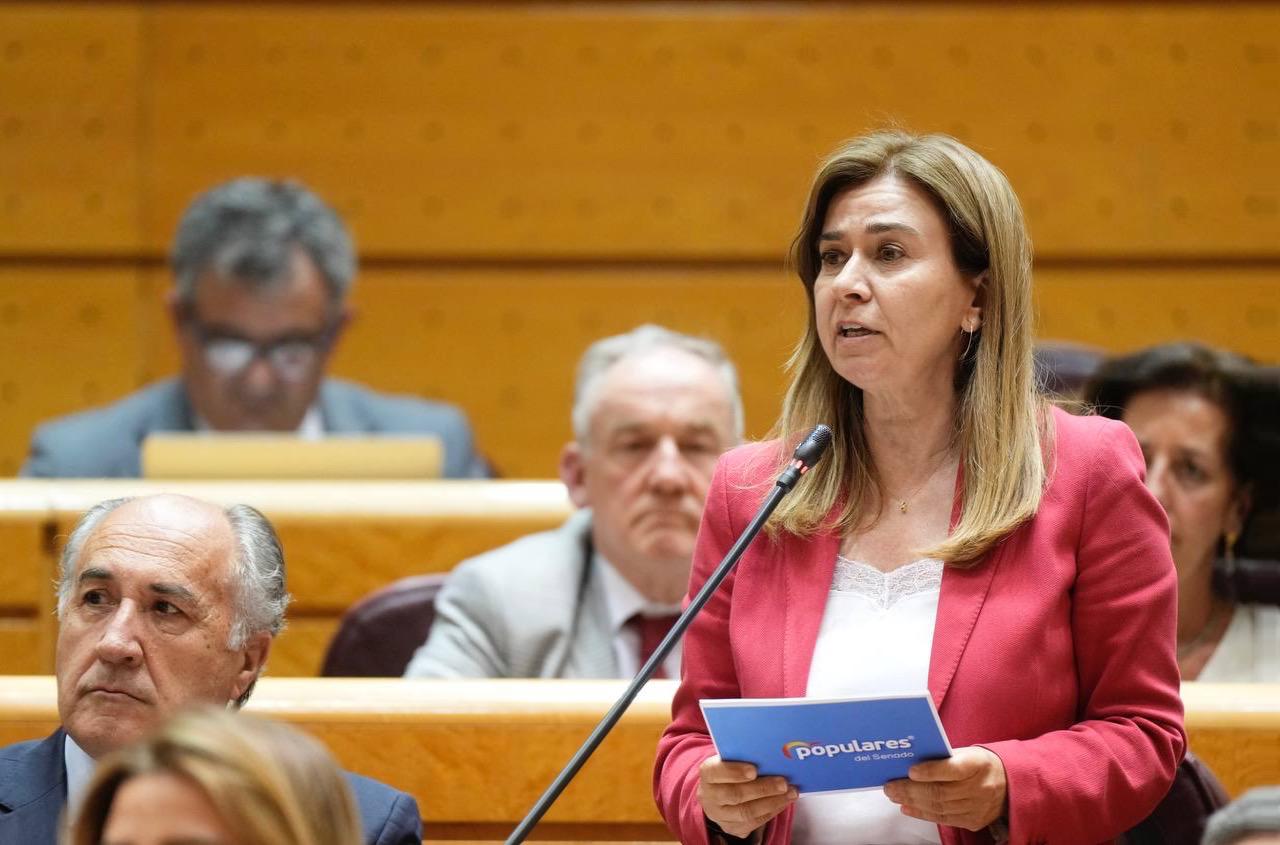 El PP reclama en el Senado "dignidad" en los trenes de la provincia El PP reclama en el Senado "dignidad" en los trenes de la provincia