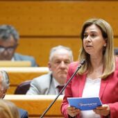 Teresa Ruiz Sillero