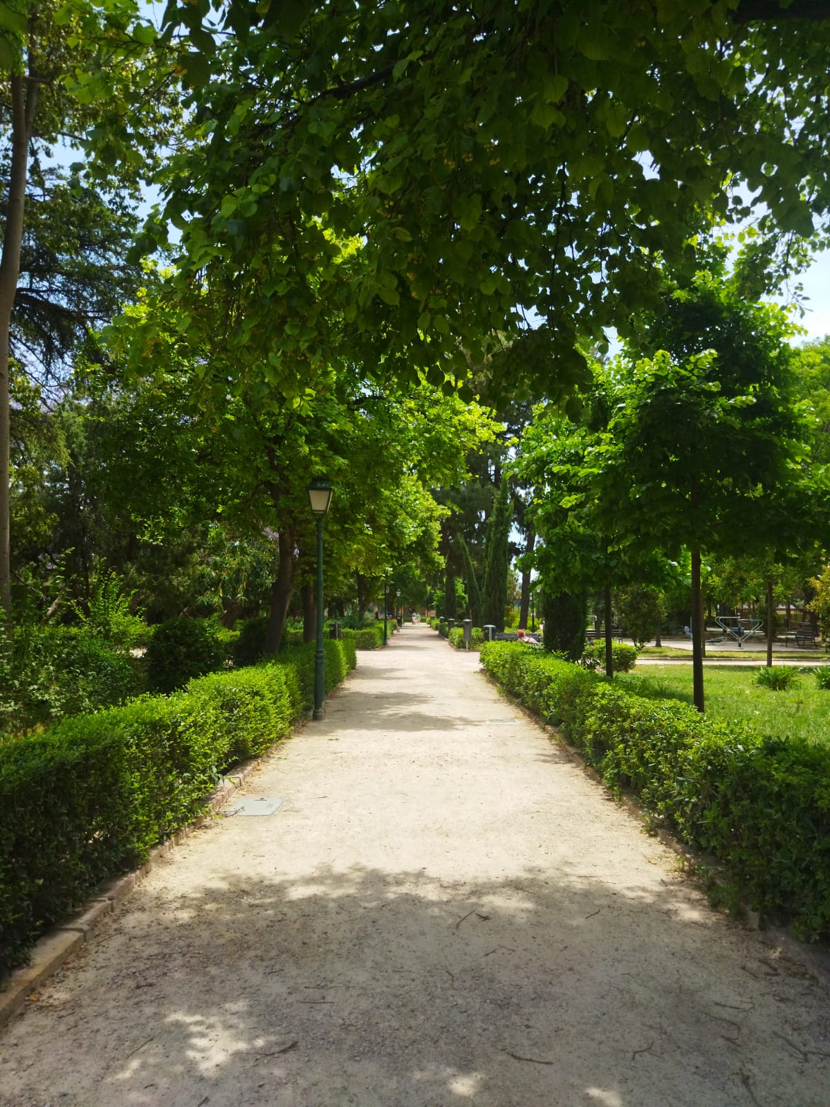 Contra el Cáncer Valencia pide liberar a Viveros del humo tóxico del tabaco Contra el Cáncer Valencia pide liberar a Viveros del humo tóxico del tabaco
